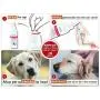 Arava Natural Cat & Dog Ear Treatment - Pet Otic Ear Care Solution - Antibacterial Antifungal Anti Yeast Anti Itch Effective Ear Cleaner - First Aid in Acute & Chronic Ears Inflammations Arava Natural Cat & Dog Ear Treatment - Pet Otic Ear Care Solution - Antibacterial Antifungal Anti Yeast Anti Itch Effective Ear Cleaner - First Aid in Acute & Chronic Ears Inflammations