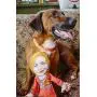 FUZZU Hillary Clinton Political Parody Novelty Dog Chew Toy with Squeaker - Large 17&quot Size Toy