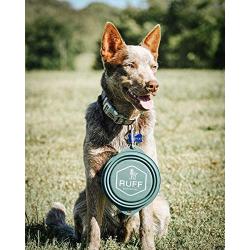 Ruff Products BarkBowl (800ml) - Collapsible Dog Bowl