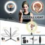 Ring Light with Tripod Stand, SONATA 10" LED Selfie Makeup Light with iPhone Tripod and Phone Holder for Tiktok Makeup YouTube Video Photography Live Stream, Dimmable for iPhone Android