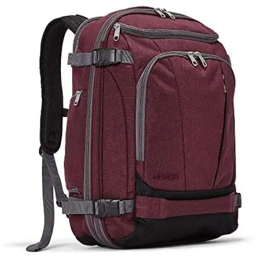 eBags Mother Lode Jr Travel Backpack (Garnet) eBags Mother Lode Jr Travel Backpack (Garnet)
