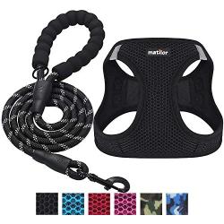 matilor 2 Packs Dog Harness Step-in Breathable Puppy Cat Dog Vest Harnesses for Small Medium Dogs