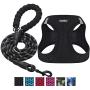 matilor 2 Packs Dog Harness Step-in Breathable Puppy Cat Dog Vest Harnesses for Small Medium Dogs