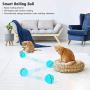 WWVVPET Interactive Cat Toys Ball with LED Light,360 Degree Self Rotating Ball,USB Rechargeable Cat Ball Toy,Stimulate Hunting Instinct Kitten Funny Chaser Roller Pet Toy