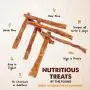 Downtown Pet Supply 6 and 12 inch Junior Thin Bully Sticks for Dogs (Bulk Bags by Weight) - All Natural Dog Dental Chew Treats, High in Protein, Great Alternative to Rawhides