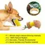 Dog Toothbrush Teeth Cleaning Chew Toys for Aggressive Chewer - Indestructible Interactive Treat Toys for Large Medium Small Dogs - Brushing Stick Dental Oral Care for Pet - Fun to Chew and Fetch