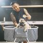 Furesh Elevated Folding Dog Bath Tub and Wash Station for Bathing, Shower, and Grooming, Foldable and Portable, Indoor and Outdoor, Perfect for Small and Medium Size Dogs, Cats and Other Pet