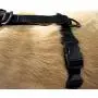 Kurgo Dog Harness | Pet Walking Harness | Car Harness for Dogs | Front D-Ring for No Pull Training | Includes Dog Seat Belt Tether | Tru-Fit Smart Harness | For Small, Medium, & Large Dogs Kurgo Dog Harness | Pet Walking Harness | Car Harness for Dogs | Front D-Ring for No Pull Training | Includes Dog Seat Belt Tether | Tru-Fit Smart Harness | For Small, Medium, & Large Dogs