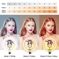 13" Selfie Ring Light with Tripod Stand and Cell Phone Holder for Makeup/YouTube/Tiktok, 10 Levels Brightness & 3 Modes 164 LED Bulbs Chip Ring Light with Remote Control, Compatible for iPhone/Android