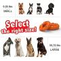 Freezable Dog Chew Toys for Teething Dogs - Lifetime Replacement Guarantee - All Natural Rubber Puppy Teether Cooling Toys for Small/Medium Puppies, Perfect Training Pool Floating Chew Ring Toys Freezable Dog Chew Toys for Teething Dogs - Lifetime Replacement Guarantee - All Natural Rubber Puppy Teether Cooling Toys for Small/Medium Puppies, Perfect Training Pool Floating Chew Ring Toys