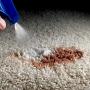 Scotchgard - 1026C Oxy Carpet & Fabric Spot & Stain Remover, 26 Fluid Ounce