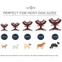 Lucy & Co. Reversible Dog Harness Walking Halter - Harnesses for Small Medium Large XL Dogs - Padded Adjustable - for German Shepherd, Pug, French Bulldog, English Bulldog
