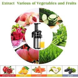 Juicer Slow Juicers Machine Portable Vertical Cold Press Juicer with Reversal Function, BPA-free Masticating Juicer with Juice Jug and Clean Brush for Vegetables and Fruits