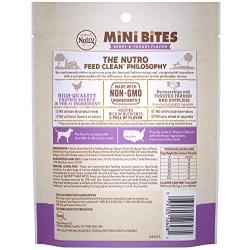 NUTRO Mini Bites Dog Treats