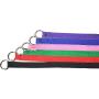 Downtown Pet Supply Slip Leads, Kennel Leads with O Ring for Dog Pet Animal Control Grooming, Shelter, Rescues, Vet, Veterinarian, Doggy Daycare - 4 Foot Length x 1/2 inch Width