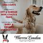 Warren London Hydrating Butter Leave-in Conditioner for Dogs Skin and Coat - Guava & Mango - 1gal