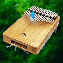 VIILOCK Handmade Mbira Finger Piano Kalimba 17 Keys Thumb Piano with Protective Box