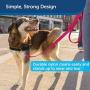 PetSafe Nylon Dog Leash, Strong, Durable, Traditional Style Leash with Easy to Use Bolt Snap - Available in Multiple Widths and Colors