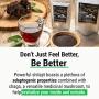 Sayan Siberian Chaga Mushroom Extract with Shilajit Powder 4Oz/113g –Powerful Antioxidant Fulvic Acid Supplement –Immune System Health Booster, Inflammation Reduction