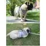 Feiky Dog Harness No-Pull Pet Harness Adjustable Reflective Outdoor Pet Vest and Dog Leash Easy Control for Small Medium Dog or Cat