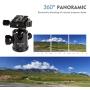 Moman Camera Tripod Monopod Alpenstock with Ball Head, Aluminum Alloy Foldable Axis Inversion Design, Weight Capacity of 33 Lb