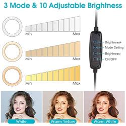 Ring Light with Stand and Phone Holder,10.2" LED Selfie Ring Light for Live Stream/Makeup/YouTube/Photography,with Adjustable Bracket (15.55 - 68.89) ,Remote Control Compatible with iPhone Android