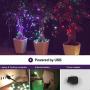 PLAYBULB 33 Foot / 10 Meter Waterproof Smart Led String Lights, Color Changing LED Lighting Chains Control via Smartphone App, USB/Battery Powered Xmas, Wedding