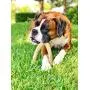 Pet Qwerks Wish BarkBone - For Aggressive Chewers| Made in USA Pet Qwerks Wish BarkBone - For Aggressive Chewers| Made in USA