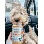 BUDDY BUDDER Bark Bistro Company, Ruff Ruff Raw + Pumpkin Pup, Dog Peanut Butter, Healthy Dog Treat, 100% Natural Dog Peanut Butter - Made in USA (Set of 2/ 16oz Jars) BUDDY BUDDER Bark Bistro Company, Ruff Ruff Raw + Pumpkin Pup, Dog Peanut Butter, Healthy Dog Treat, 100% Natural Dog Peanut Butter - Made in USA (Set of 2/ 16oz Jars)