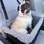 Devoted Doggy Deluxe Dog Booster Car Seat - Premium Quality Metal Frame Construction - Clip-on Safety Leash - Zipper Storage Pocket - Perfect for Small and Medium Pets Up to 15 Lbs Devoted Doggy Deluxe Dog Booster Car Seat - Premium Quality Metal Frame Construction - Clip-on Safety Leash - Zipper Storage Pocket - Perfect for Small and Medium Pets Up to 15 Lbs