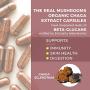 Chaga Extract Mushroom Supplement for Immune Support & Digestion, 120 Caps Organic Chaga Mushroom Powder Capsules, Potent Antioxidant & Immune Booster, Vegan & Non-GMO, Verified Levels of Beta-Glucans