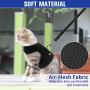 Escape Proof Cat Harness with Leash Adjustable Soft Mesh - Best for Walking