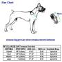 Mile High Life Dog Collar | Nylon with Reflective Three 3M Straps | Lime Green Hot Blue Pink Purple Red