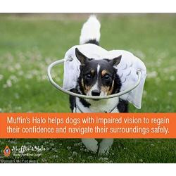 Muffin’s Halo Blind Dog Harness Guide Device – Help for Blind Dogs or Visually Impaired Pets to Avoid Accidents & Build Confidence – Ideal Blind Dog Accessory to Navigate Surroundings