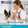 Curaseb Veterinary Cat & Dog Ear Infection Treatment – Treats Infections from Ear Mites, Yeast, Fungus and Bacteria – Broad Spectrum Veterinary Formula