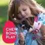 KONG - Puppy Toy - Natural Teething Rubber - Fun to Chew, Chase and Fetch (Includes One Toy, Color May Vary)