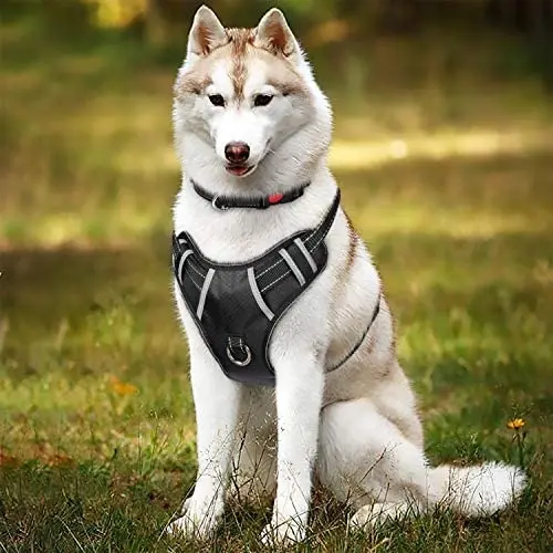 TIANYAO Dog Harness No Pull Reflective Oxford Material Soft Pet Vest Adjustable for Large Dogs Easy Control Harness with Dog Collar (XL)