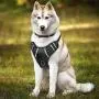 TIANYAO Dog Harness No Pull Reflective Oxford Material Soft Pet Vest Adjustable for Large Dogs Easy Control Harness with Dog Collar (XL)