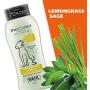 Wahl Shed Control Pet Shampoo for Animal Shedding & Dander – Lemongrass, Sage, Oatmeal & Aloe for Healthy Coats & Skin – 24 oz