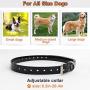 IPETS PET619S-2 Dog Shock Collar with Remote 100% Waterproof & Rechargeable Dog Training Collar with Beep Vibrating Electric Shock Collar Dogs (10-100lbs)
