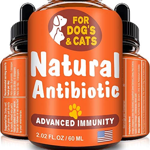 GOODGROWLIES Natural Antibiotic for Dogs and Cats - Kennel Cough Medicine for Pets - Immune System Booster - Allergy Relief Health Supplement - UTI Treatment - Made in USA - 2oz