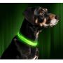 Illumiseen LED Dog Collar - USB Rechargeable - Available in 6 Colors & 6 Sizes - Makes Your Dog Visible, Safe & Seen