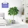 ASPECTEK Powerful 20W Electronic Indoor Insect Killer, Bug Zapper, Fly Zapper, Mosquito Killer-Indoor Use Including Free 2 Pack Replacement Bulbs ASPECTEK Powerful 20W Electronic Indoor Insect Killer, Bug Zapper, Fly Zapper, Mosquito Killer-Indoor Use Including Free 2 Pack Replacement Bulbs