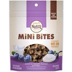 NUTRO Mini Bites Dog Treats
