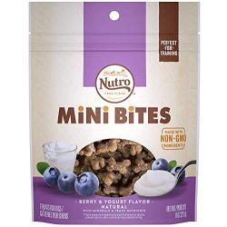 NUTRO Mini Bites Dog Treats