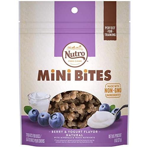 NUTRO Mini Bites Dog Treats