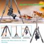 Cayer CF2451 Video Tripod 67 inches Carbon Fiber Tripod Leg with Fluid Drag Head, 4-Section Compact DSLR Tripod Convertible to Monopod for DSLR Camera, Video Camcorder