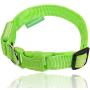 Illumiseen LED Dog Collar - USB Rechargeable - Available in 6 Colors & 6 Sizes - Makes Your Dog Visible, Safe & Seen