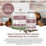 Chaga Extract Mushroom Supplement for Immune Support & Digestion, 120 Caps Organic Chaga Mushroom Powder Capsules, Potent Antioxidant & Immune Booster, Vegan & Non-GMO, Verified Levels of Beta-Glucans
