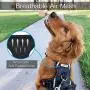 TIANYAO Dog Harness No Pull Reflective Oxford Material Soft Pet Vest Adjustable for Large Dogs Easy Control Harness with Dog Collar (XL)